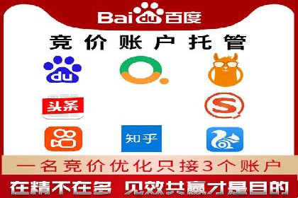 某企业通过SEM实现品牌与销售双增长的案例